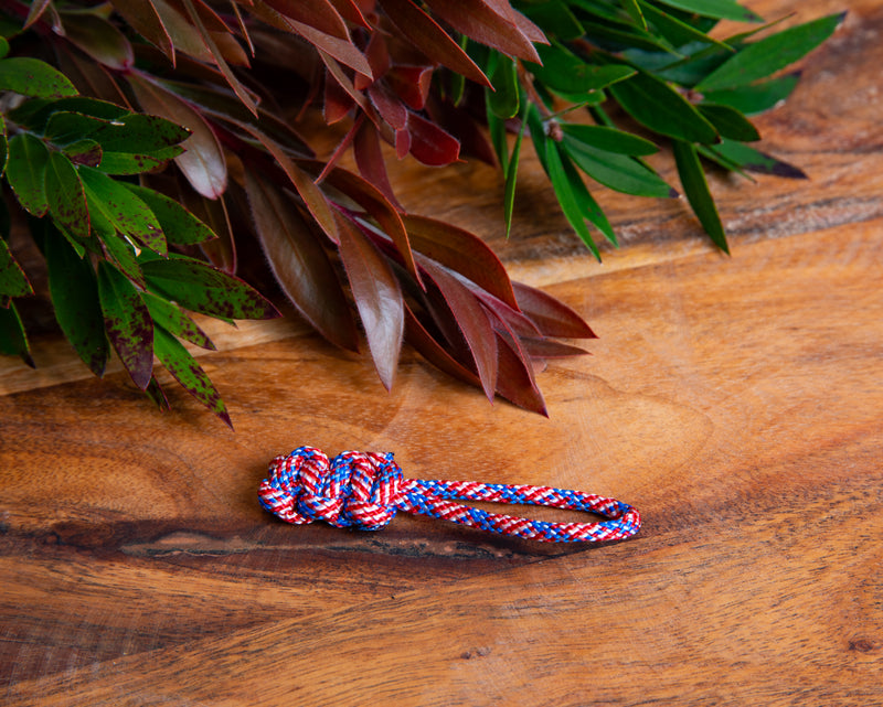 Team America Paracord Zipper Pulls