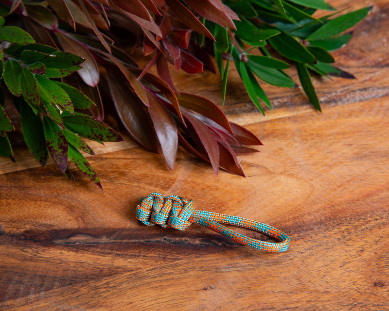 Ocean Breeze Paracord Zipper Pulls